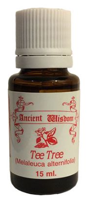 Picture of Melaleuca (Tea Tree)