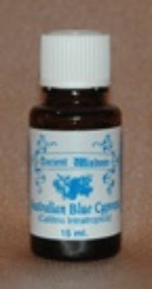 Picture of Australian Blue Cypress