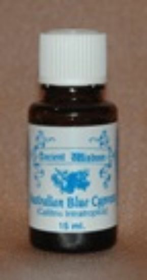 Picture of Australian Blue Cypress