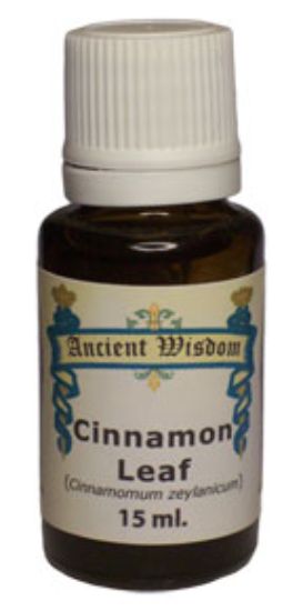 Picture of Cinnamon Leaf