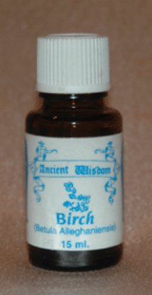 Picture of Birch