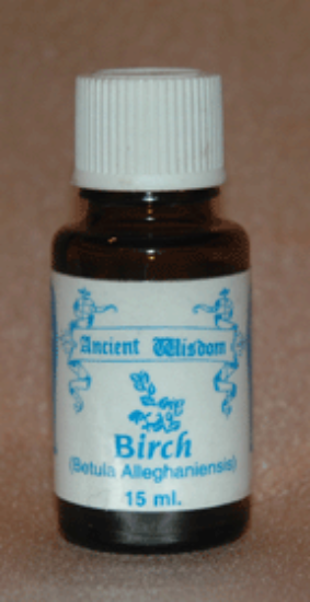 Picture of Birch