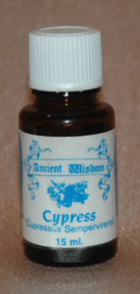 Picture of Cypress