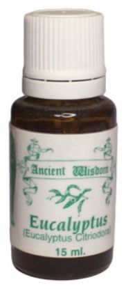 Picture of Eucalyptus Citriadora (Lemon)