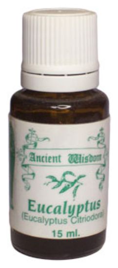 Picture of Eucalyptus Citriadora (Lemon)