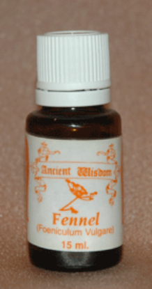 Picture of Fennel (Sweet)