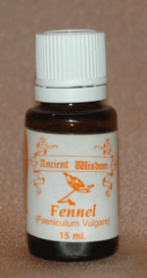 Picture of Fennel (Sweet)