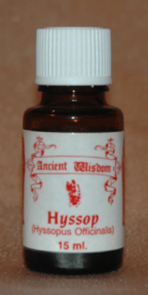 Picture of Hyssop