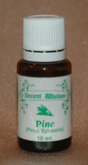 Picture of Pine