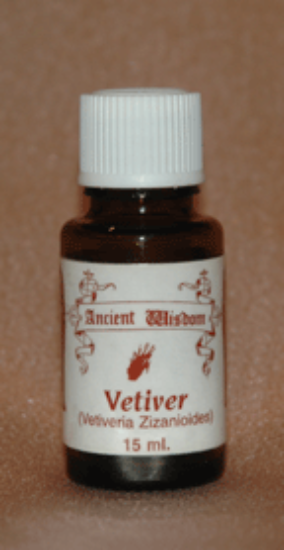 Picture of Vetiver