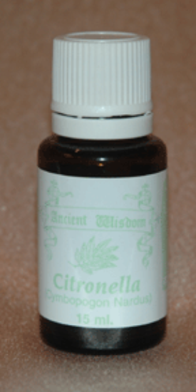 Picture of Citronella