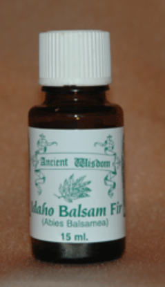 Picture of Idaho Balsam Fir