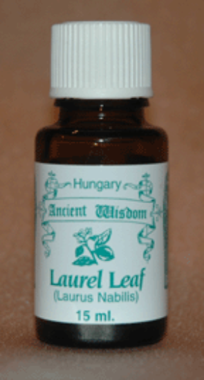 Picture of Laurel Leaf - -Bay