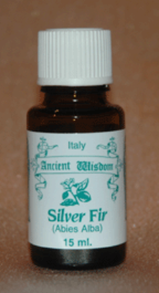 Picture of Silver Fir (White Fir)