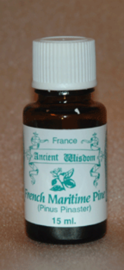 Picture of French Maritime Pine