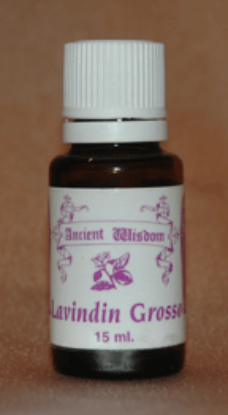 Picture of Lavandin Grosso( Hybrid)