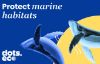 Picture of Dots.eco - Protect 10 sqm of Marine Habitat US