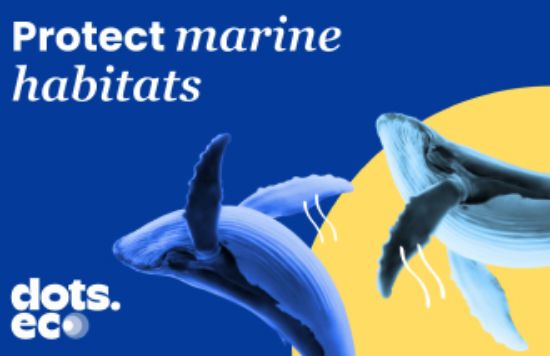Picture of Dots.eco - Protect 10 sqm of Marine Habitat US