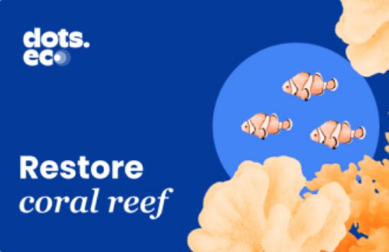 Picture of Dots.eco - Restore 1 fragment of coral reef US
