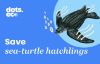 Picture of Dots.eco - Save a sea turtle hatchling US