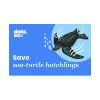 Picture of Dots.eco - Save a sea turtle hatchling US