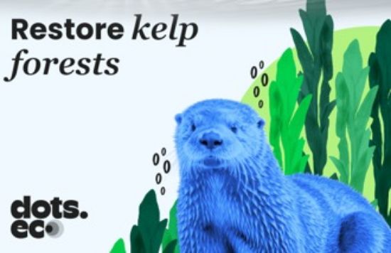 Picture of Dots.eco - Restore Kelp Forests US