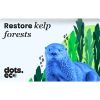 Picture of Dots.eco - Restore Kelp Forests US