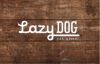 Picture of Lazy Dog Restaurant USA
