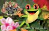 Picture of Rainforest Cafe®