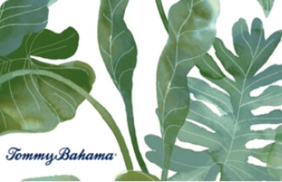 Picture of Tommy Bahama