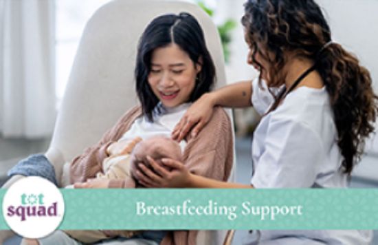 Picture of Tot Squad Breastfeeding Help USA