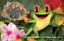 Picture of Rainforest Cafe®